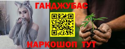 гидра Ставрополь