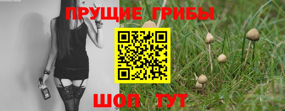 Галлюциногенные грибы прущие грибы Белая Калитва
